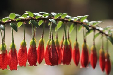 肇庆高要区7私人快速借钱网，轻松解决资金难题