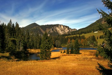 肇庆高要区7民间私贷攻略：揭秘低成本借贷的秘密