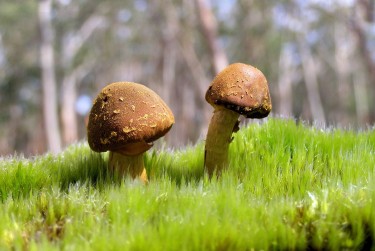 肇庆高要区7私人老板放款：轻松融资的秘密通道